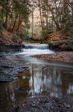 Load image into Gallery viewer, Early Spring at South Chagrin Reservation - Cleveland Metroparks