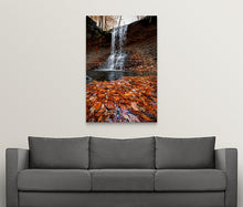Load image into Gallery viewer, Blue Hen Falls