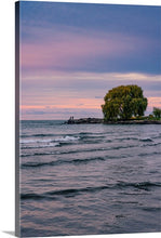 Load image into Gallery viewer, Strong as a Willow - Edgewater Beach