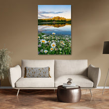 Load image into Gallery viewer, Daisies at Kendall Lake - CVNP