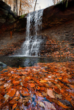Load image into Gallery viewer, Blue Hen Falls