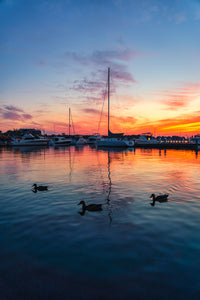All Ducks in a Row - Put-in-Bay, OH