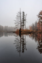 Load image into Gallery viewer, Foggy morning at Richfield Heritage Preserve