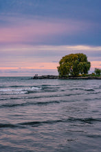 Load image into Gallery viewer, Strong as a Willow - Edgewater Beach