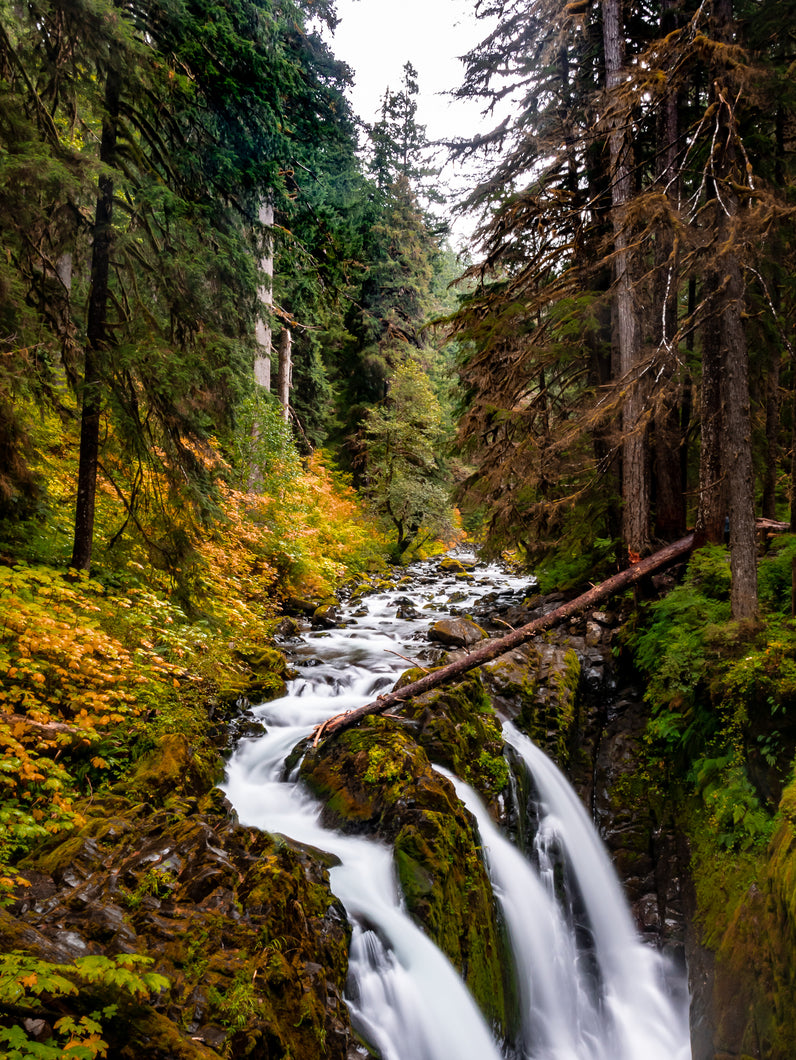 Sol Duc Falls - Olympic National Park