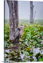 Load image into Gallery viewer, The Great Blue Heron - Cuyahoga Valley National Park