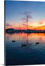 Load image into Gallery viewer, All Ducks in a Row - Put-in-Bay, OH