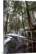 Load image into Gallery viewer, Icicles at Cleveland Metroparks South Chagrin Reservation