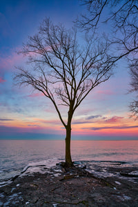 Winter Sunset in Marblehead