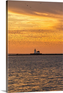 A Flock of Seagulls - Cleveland Harbor West Pierhead Lighthouse