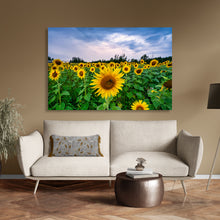 Load image into Gallery viewer, Sunflowers - Avon, OH