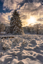 Load image into Gallery viewer, Winter Wonderland in Cuyahoga Valley National Park